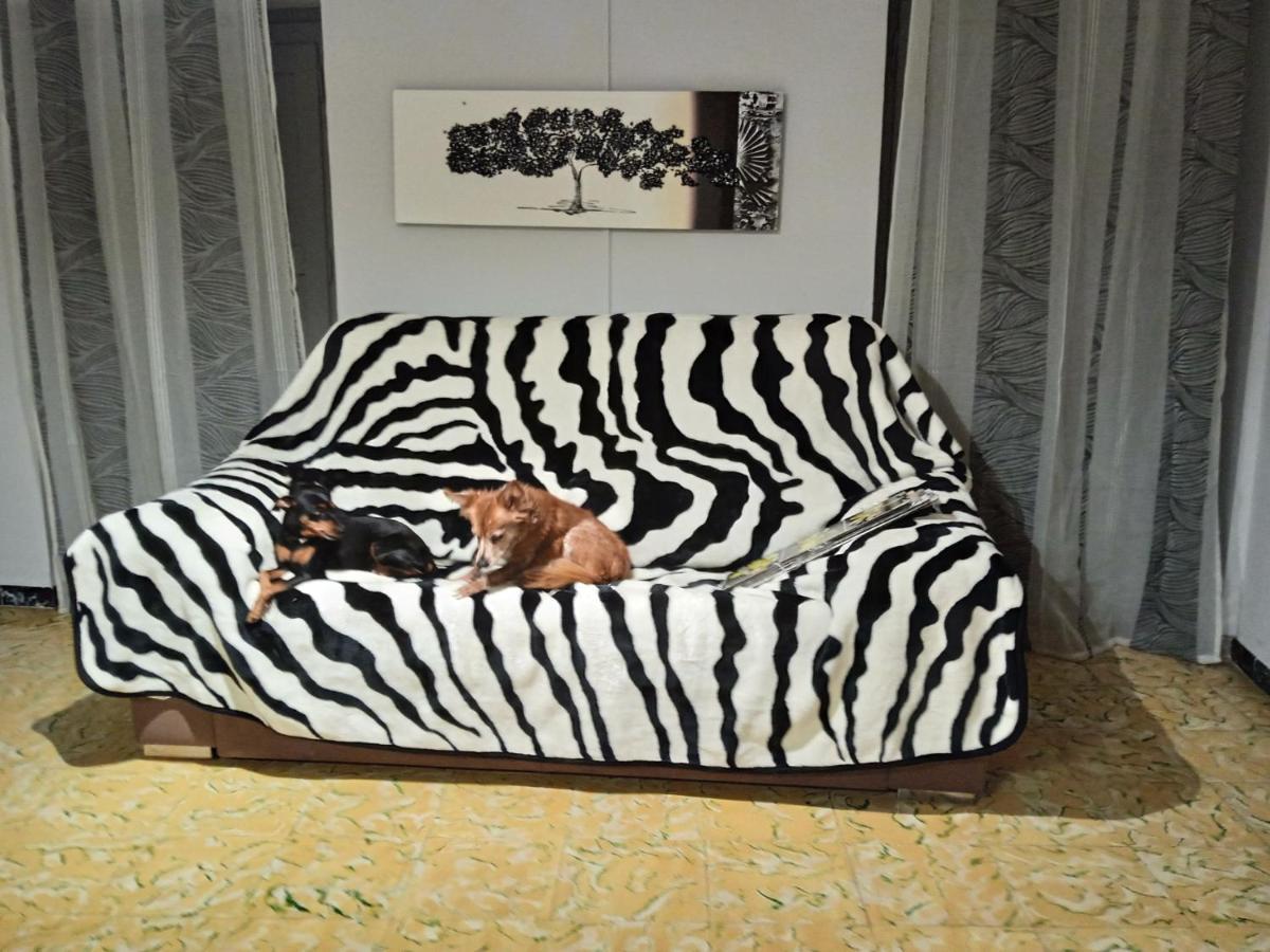 Holiday home Casa Monica *